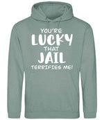 You're Lucky That Jail Terrifies Me! hoodie in dusty green