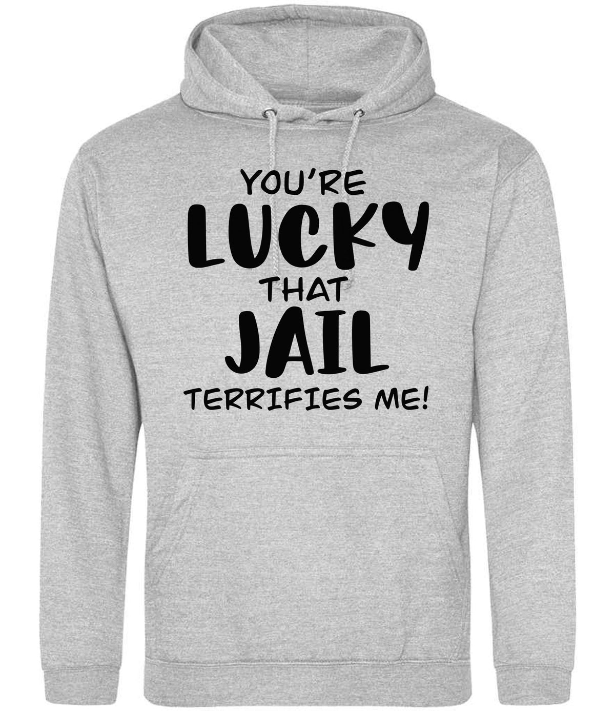 You're Lucky That Jail Terrifies Me! hoodie in heather grey