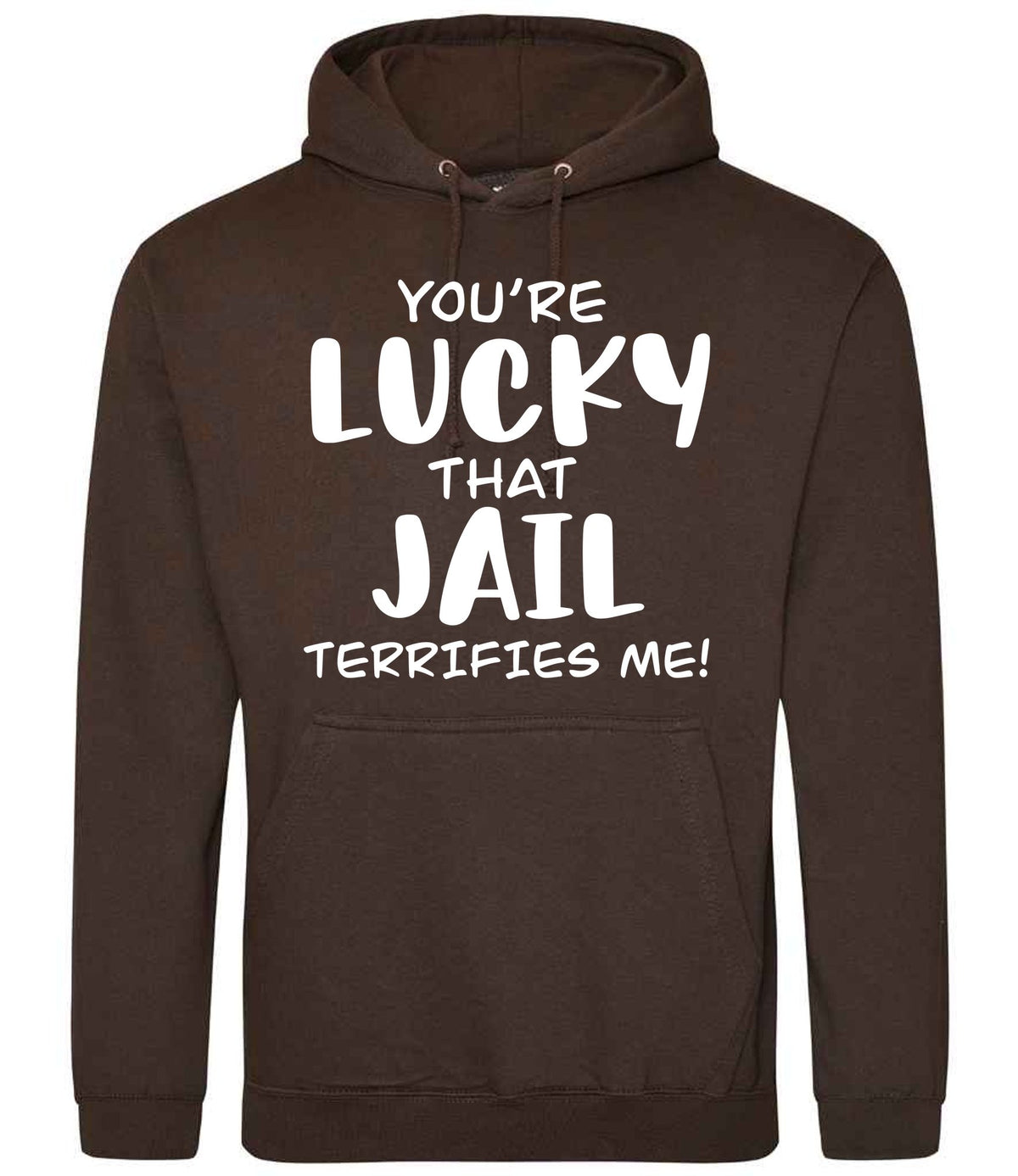 You're Lucky That Jail Terrifies Me! hoodie in hot chocolate