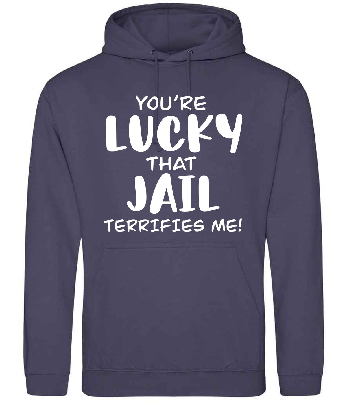 You're Lucky That Jail Terrifies Me! hoodie in shark grey