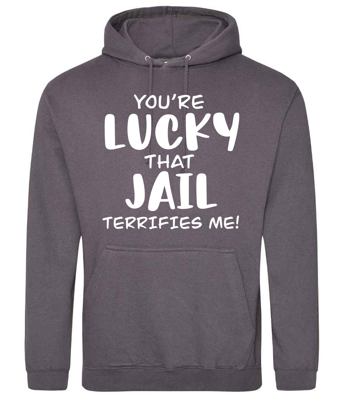You're Lucky That Jail Terrifies Me! hoodie in steel grey