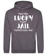 You're Lucky That Jail Terrifies Me! hoodie in steel grey