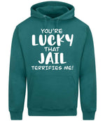 You're Lucky That Jail Terrifies Me! hoodie in teal