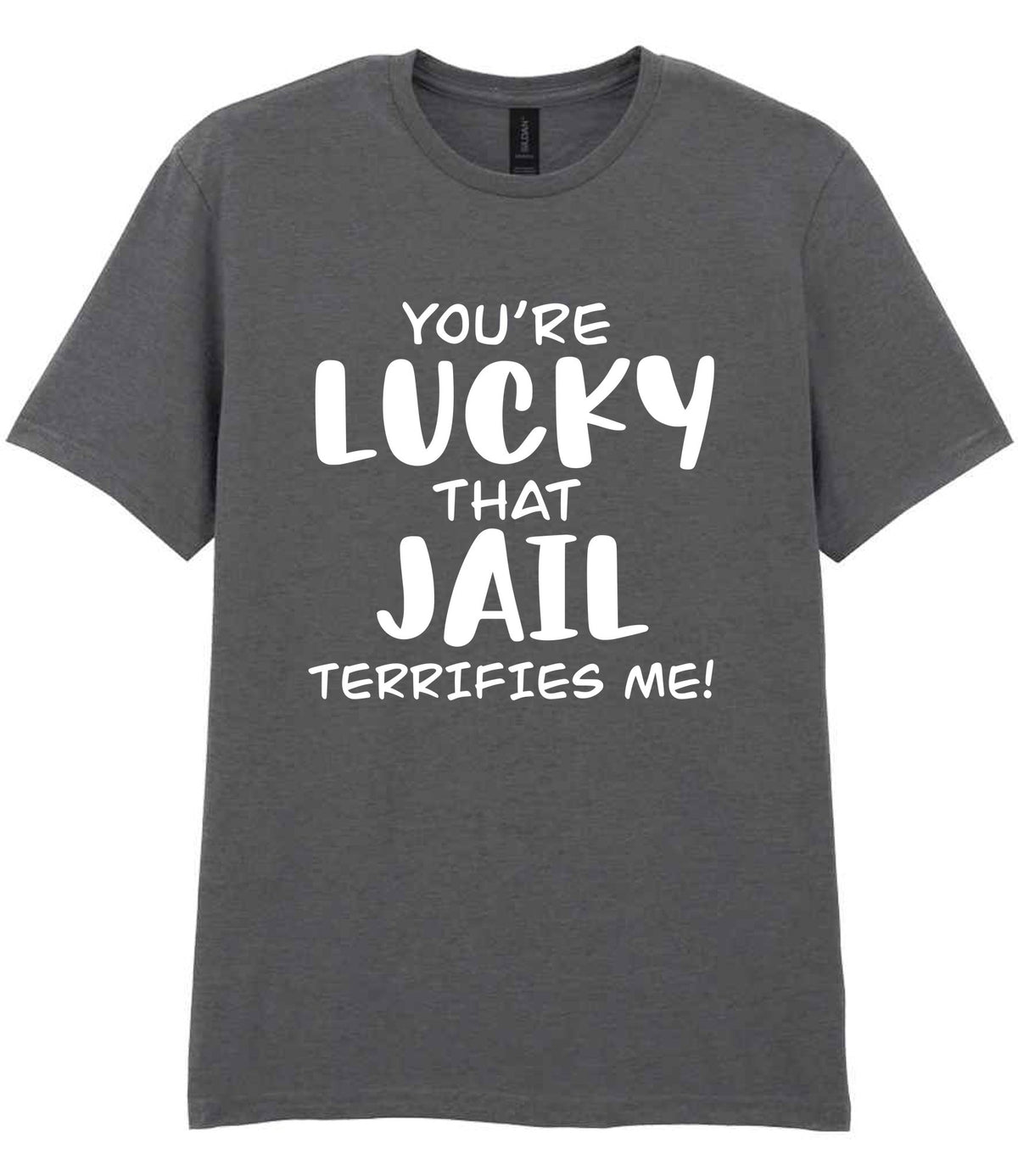 You're Lucky That Jail Terrifies Me! t-shirt in charcoal