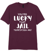 You're Lucky That Jail Terrifies Me! t-shirt in maroon