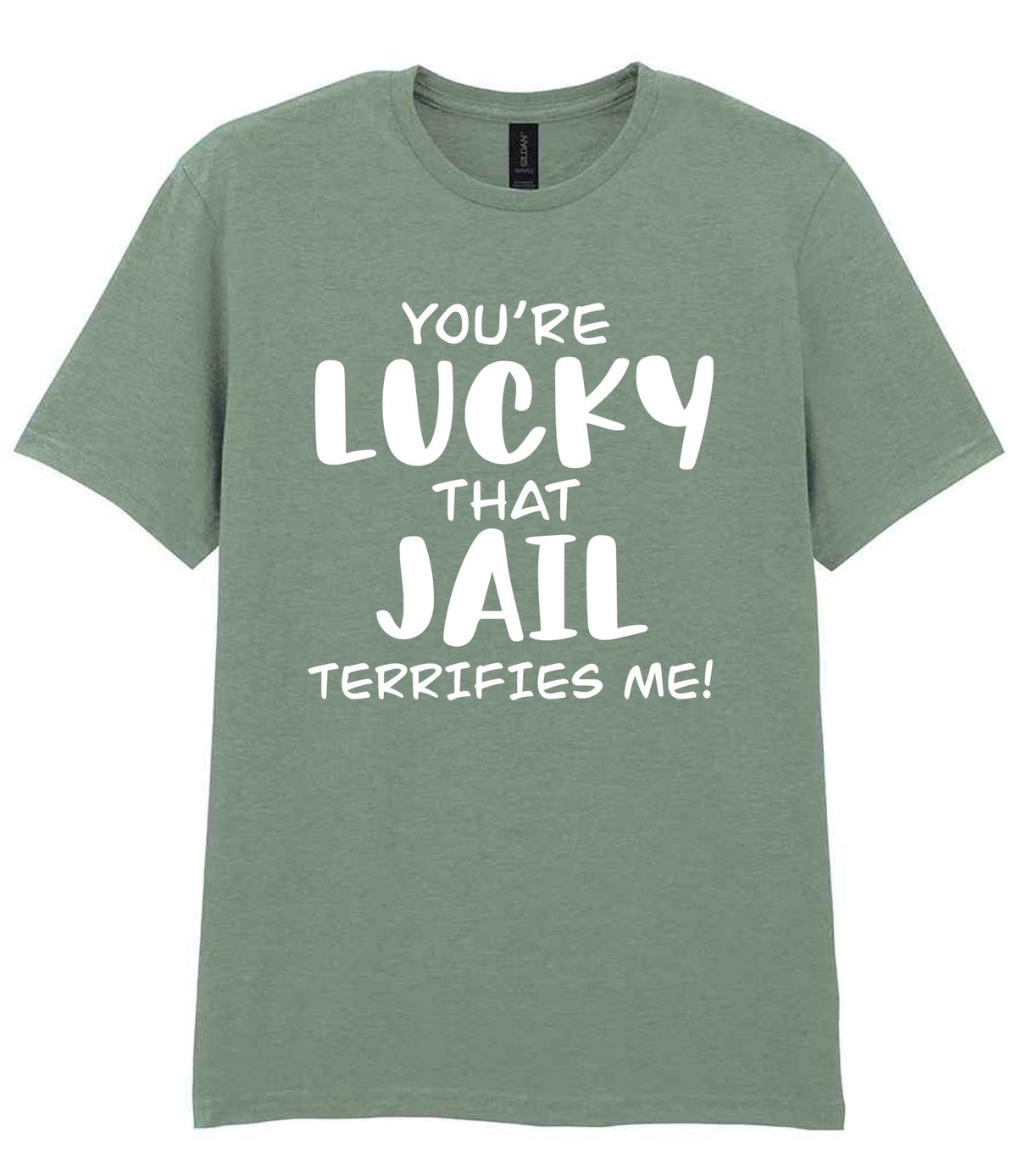 You're Lucky That Jail Terrifies Me! t-shirt in sage