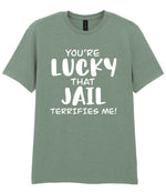 You're Lucky That Jail Terrifies Me! t-shirt in sage