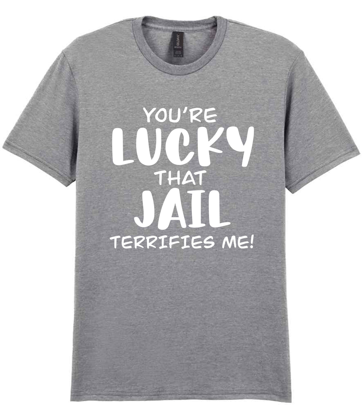 You're Lucky That Jail Terrifies Me! t-shirt in sport grey