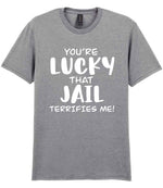 You're Lucky That Jail Terrifies Me! t-shirt in sport grey