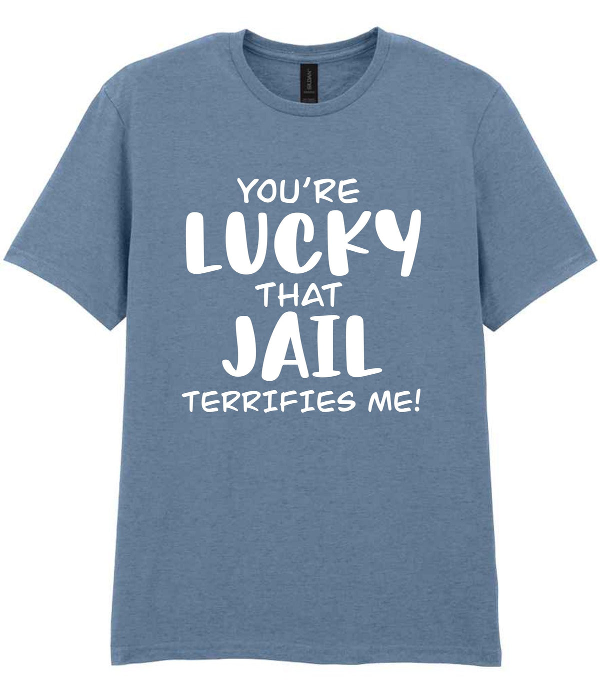 You're Lucky That Jail Terrifies Me! t-shirt in stone blue