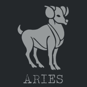Aries in silver - Softstyle™ youth ringspun t-shirt Design