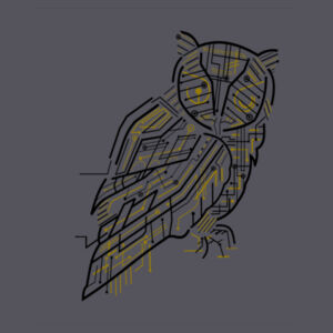 Electric Owl - Softstyle® women's deep scoop t-shirt Design