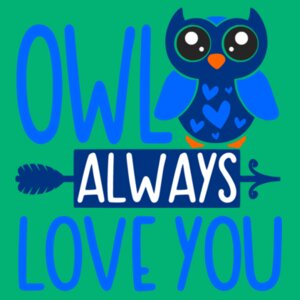 Owl always love you - College Hoodie Design