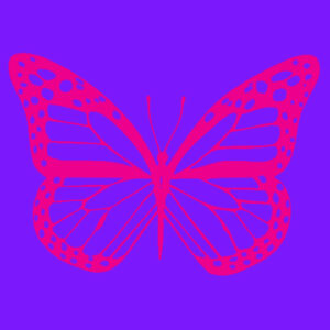 Butterfly - Baby/toddler t-shirt Design