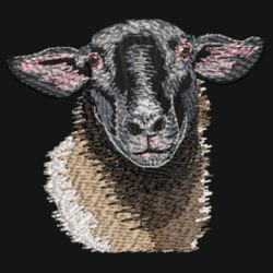 Suffolk Sheep  - Varsity Hoodie Design
