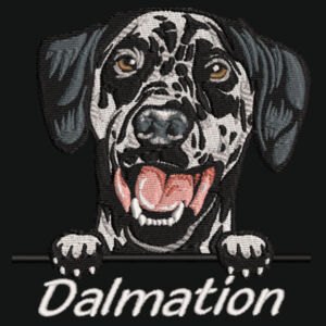 Customisable - Dalmation - Varsity Zoodie Design