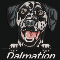 Customisable - Dalmation - Varsity Hoodie Design