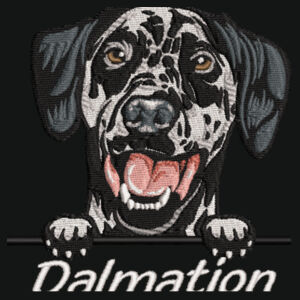 Customisable - Dalmation - Varsity Hoodie Design
