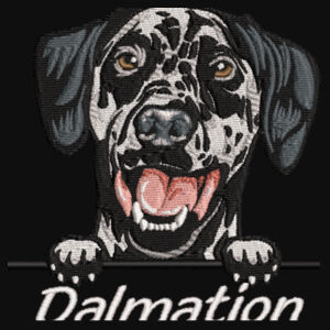Customisable - Dalmation - College hoodie Design