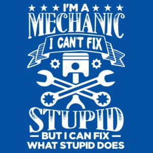 Im a mechanic I can't fix stupid - AWDis sweatshirt. Design