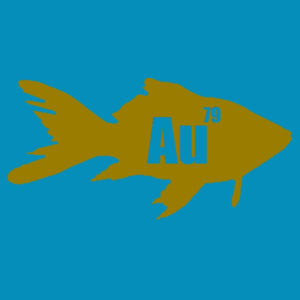 Goldfish Design