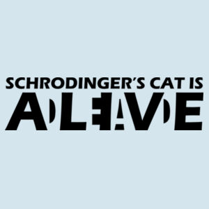 Schrodinger's Cat - HeavyBlend™ adult hooded sweatshirt - Softstyle™ adult ringspun t-shirt Design