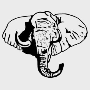 Elephant - Softstyle™ youth ringspun t-shirt Design