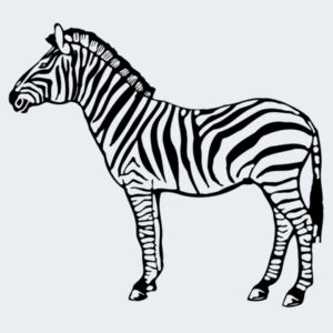 Zebra - Softstyle™ women's ringspun t-shirt Design