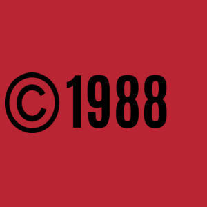 Customisable Copyright Birthdate - Softstyle™ adult ringspun t-shirt Design