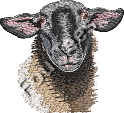 Suffolk Sheep Chest