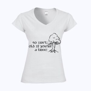 Softstyle™ women's v-neck t-shirt Thumbnail