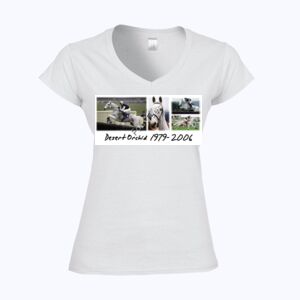 Softstyle™ women's v-neck t-shirt Thumbnail