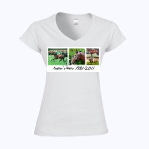 Softstyle™ women's v-neck t-shirt Thumbnail