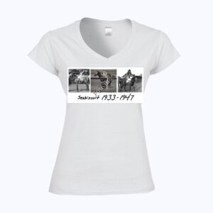 Softstyle™ women's v-neck t-shirt Thumbnail