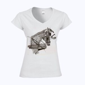 Softstyle™ women's v-neck t-shirt Thumbnail