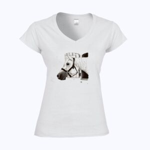 Softstyle™ women's v-neck t-shirt Thumbnail