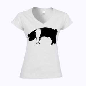 Softstyle™ women's v-neck t-shirt Thumbnail