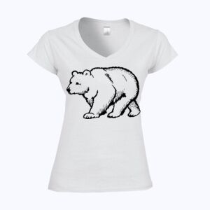 Softstyle™ women's v-neck t-shirt Thumbnail