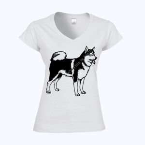 Softstyle™ women's v-neck t-shirt Thumbnail