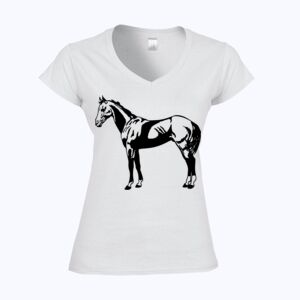 Softstyle™ women's v-neck t-shirt Thumbnail