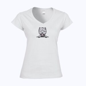 Softstyle™ women's v-neck t-shirt Thumbnail