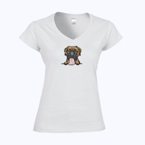 Softstyle™ women's v-neck t-shirt Thumbnail