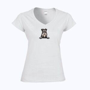Softstyle™ women's v-neck t-shirt Thumbnail