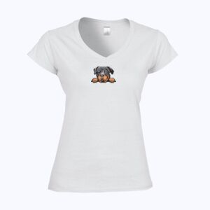 Softstyle™ women's v-neck t-shirt Thumbnail