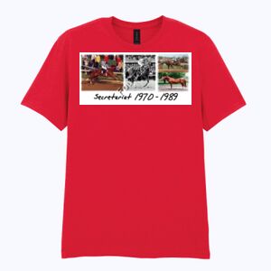 Softstyle™ adult ringspun t-shirt Thumbnail