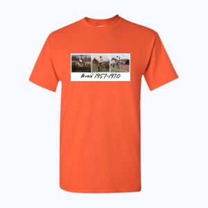 Heavy Cotton™ adult t-shirt Thumbnail