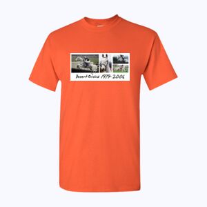 Heavy Cotton™ adult t-shirt Thumbnail