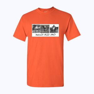Heavy Cotton™ adult t-shirt Thumbnail