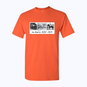 Heavy Cotton™ adult t-shirt Thumbnail