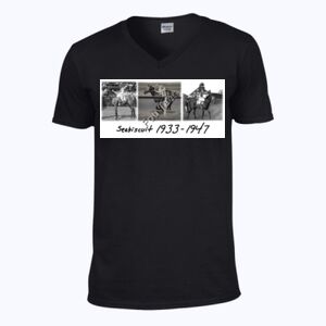 Softstyle™ v-neck t-shirt Thumbnail